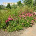 UWG Wohnung - Wohnen in der Gartenstadt UWG Wohnung - Wohnen in der Gartenstadt