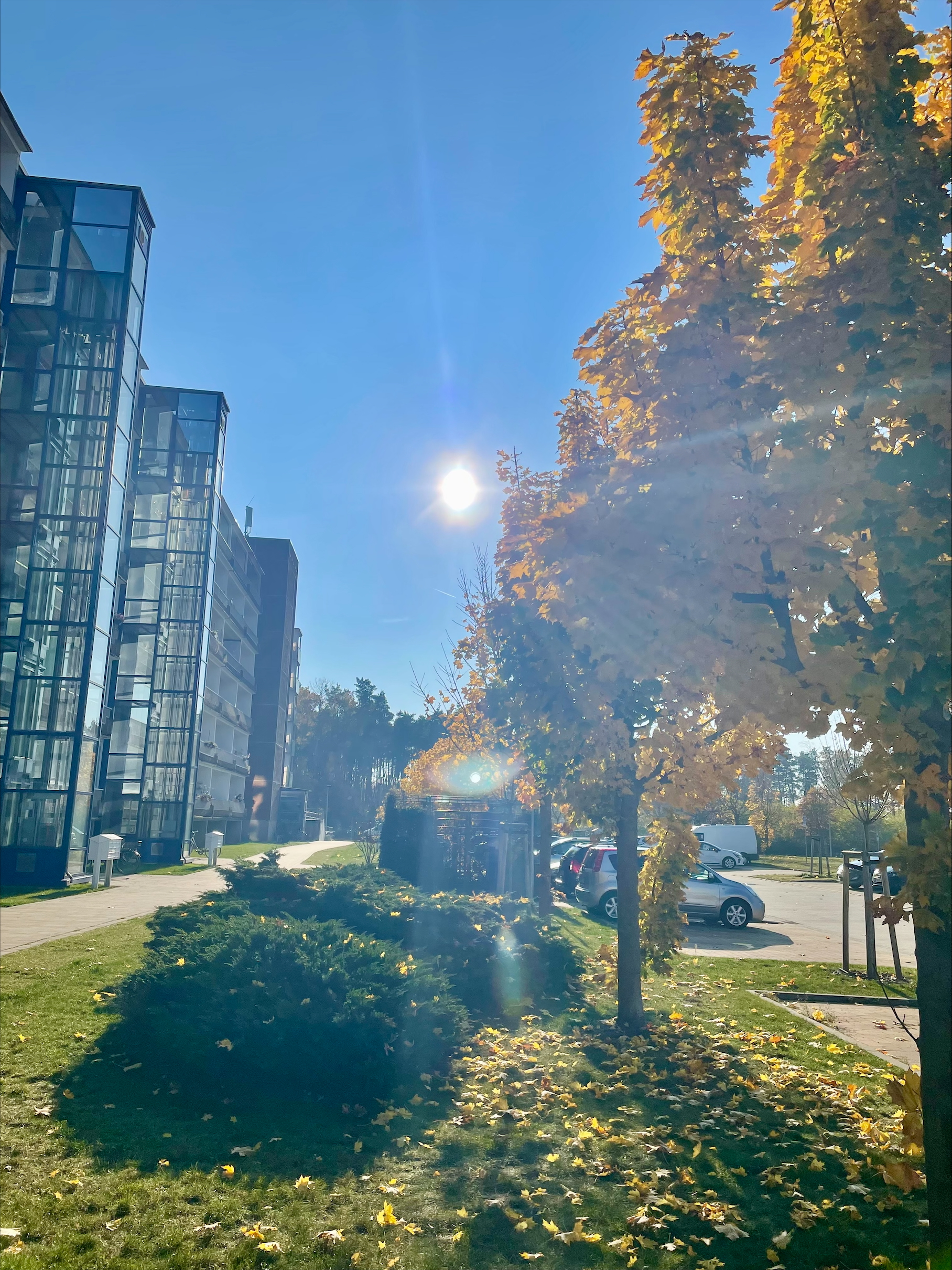 Herbstliche Parkanlage mit Sonnenschein, Laubbäume und moderner Apartmentkomplex am klaren blauen Himmel.