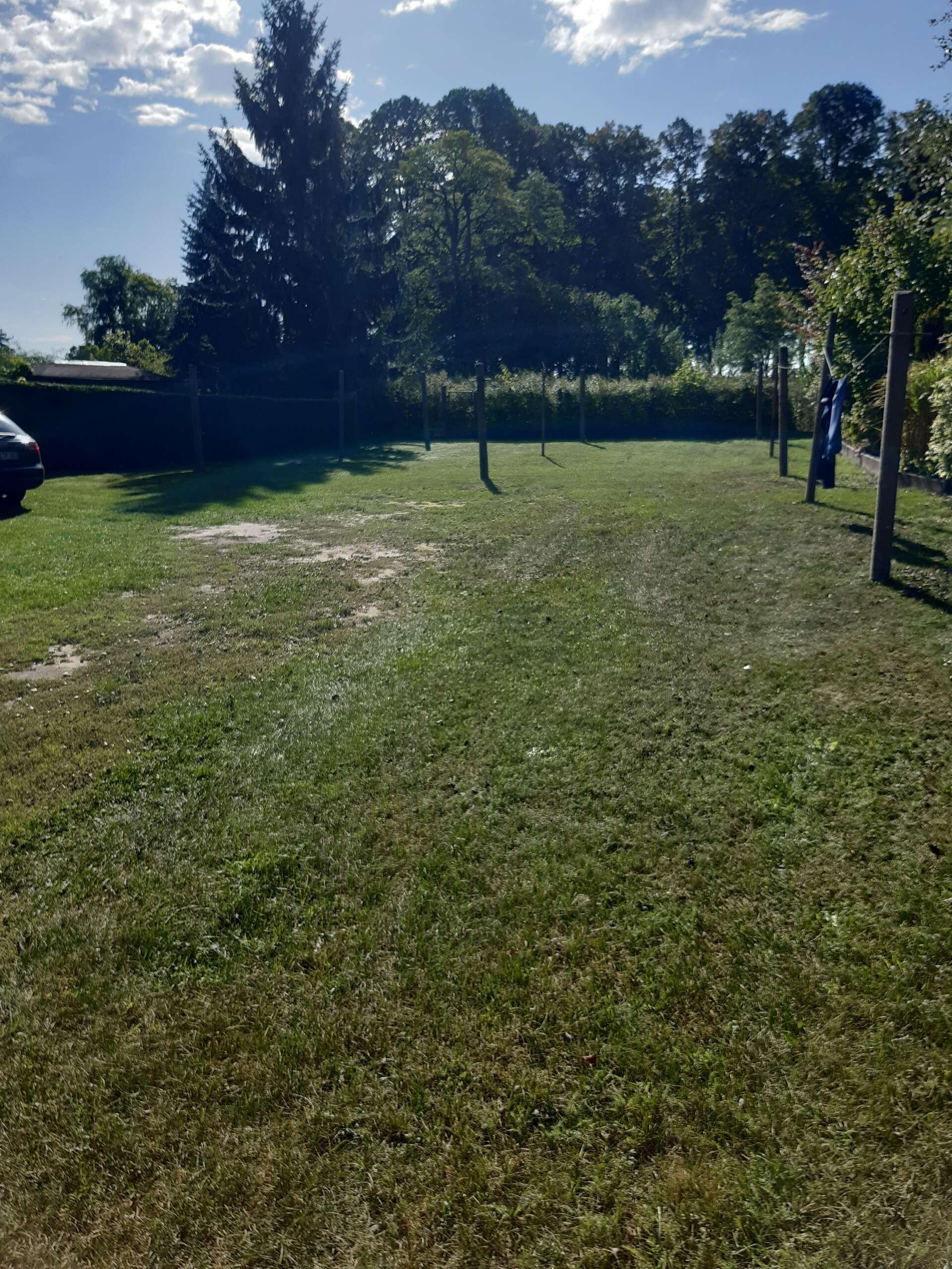 Grüne Wiese mit Wäscheleinen, Bäumen im Hintergrund und einem Auto am linken Bildrand unter blauem Himmel.