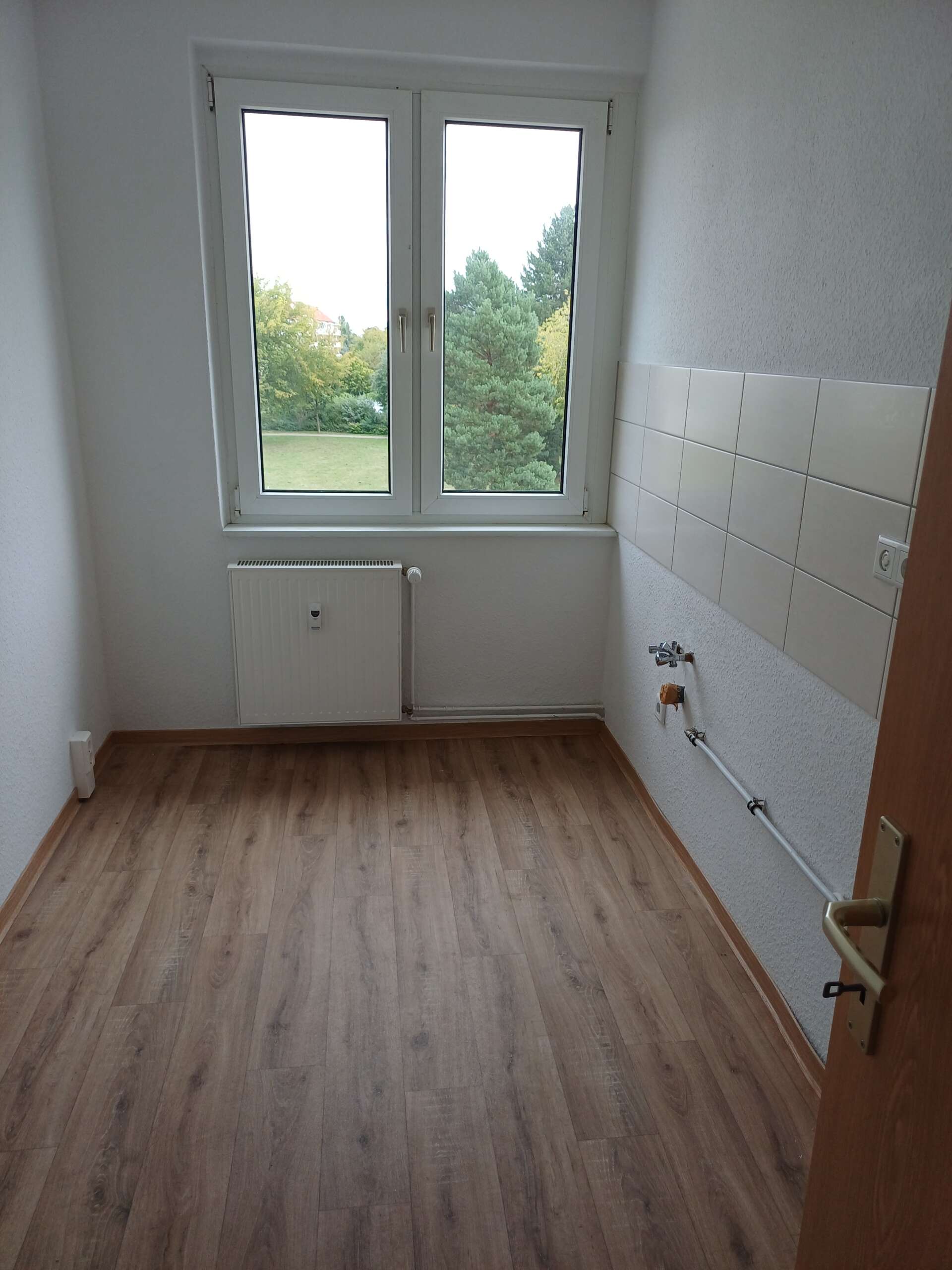 Leerer Raum mit Laminatboden, weißer Wand und Fenster mit Blick ins Grüne, freier Anschluss für Waschmaschine.